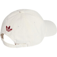 adidas gorras fútbol ESPAA 26 DAD CAP vista trasera