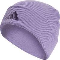 adidas gorro esquí hombre Gorro con logotipo y vuelta New vista frontal