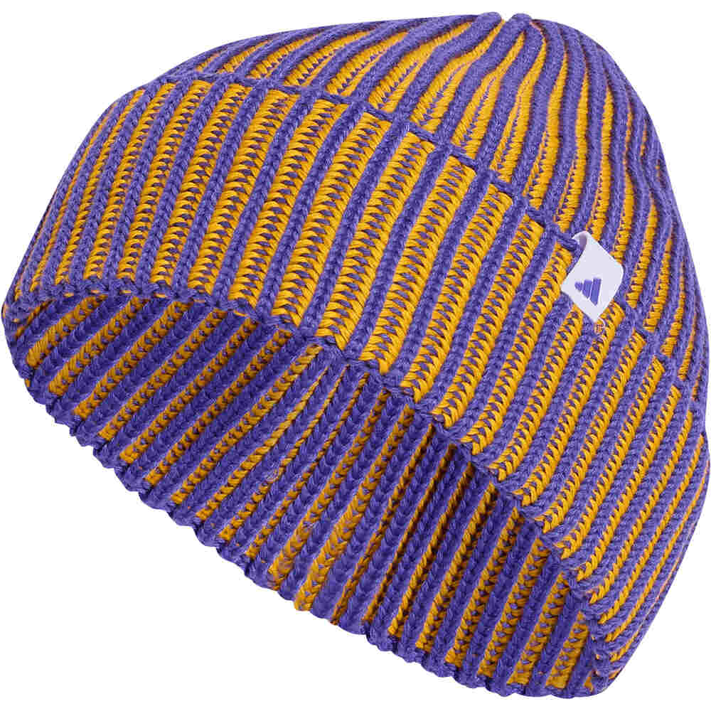 adidas gorro esquí hombre GORRO EFFECT vista frontal
