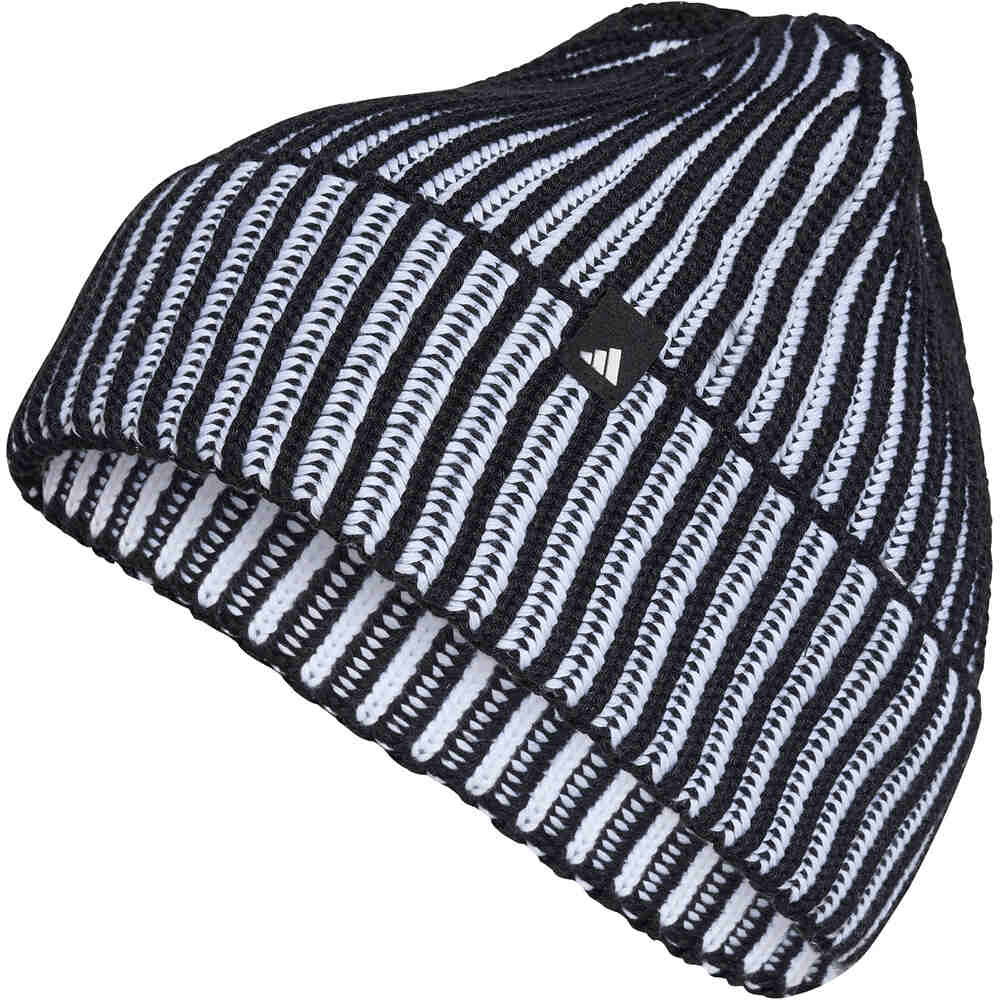 adidas gorro esquí hombre GORRO EFFECT vista frontal