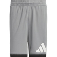 adidas pantalón baloncesto BADGE OF SPORT 04