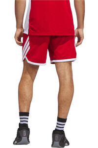 adidas pantalón baloncesto EVERYDAY PRO vista trasera