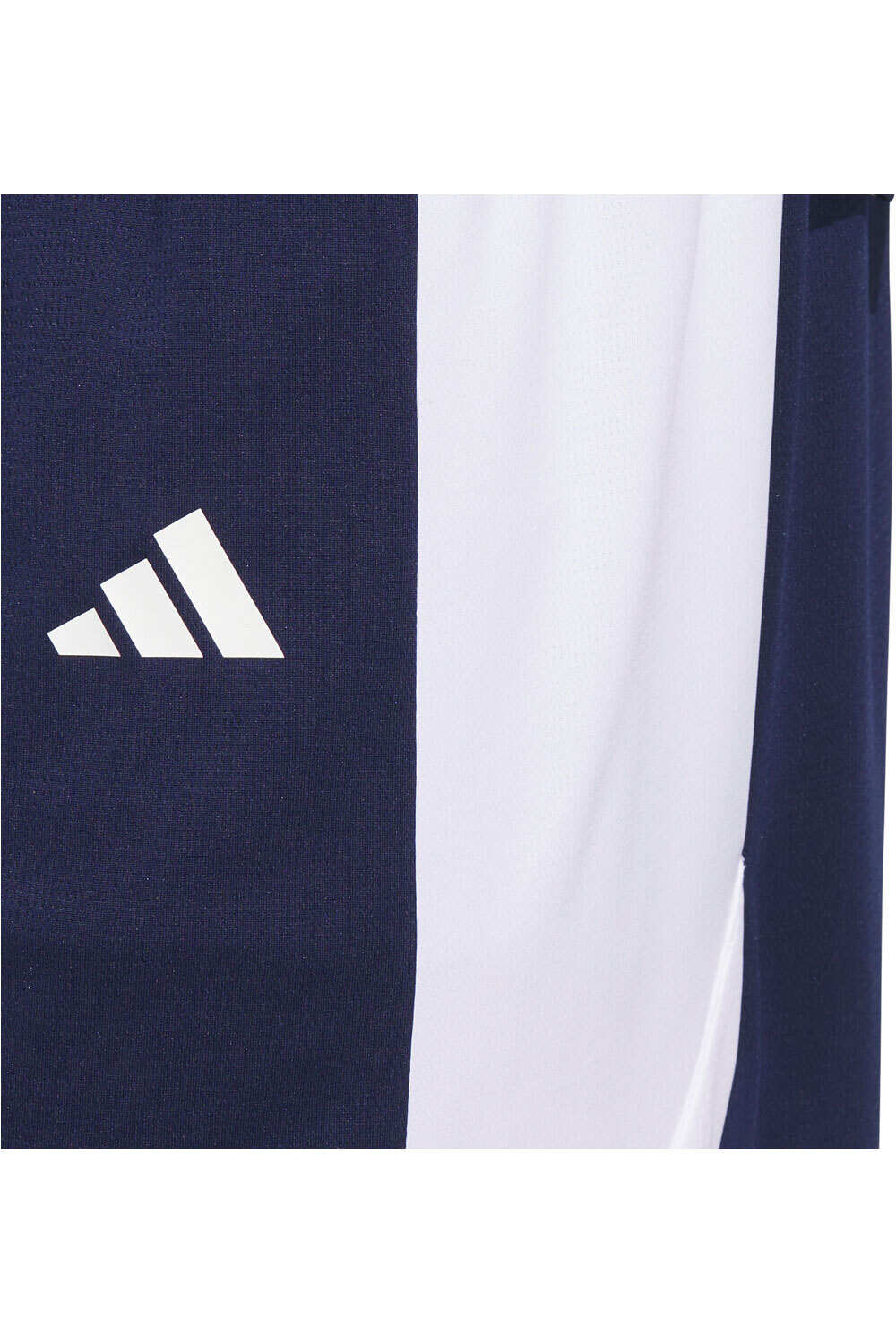 adidas pantalón baloncesto PULSE SPEED vista detalle