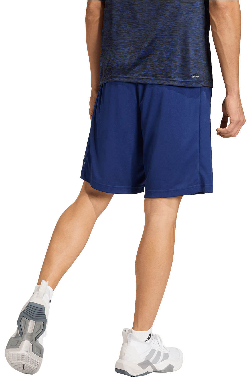 adidas pantalón corto fitness hombre BASE PIQUE BIG LOGO vista trasera