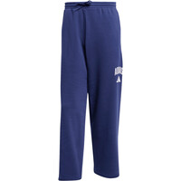 adidas pantalón hombre COLLEGIATE 05