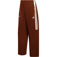 adidas pantalón hombre HOUSE OF TIRO X COMMON GOAL 04