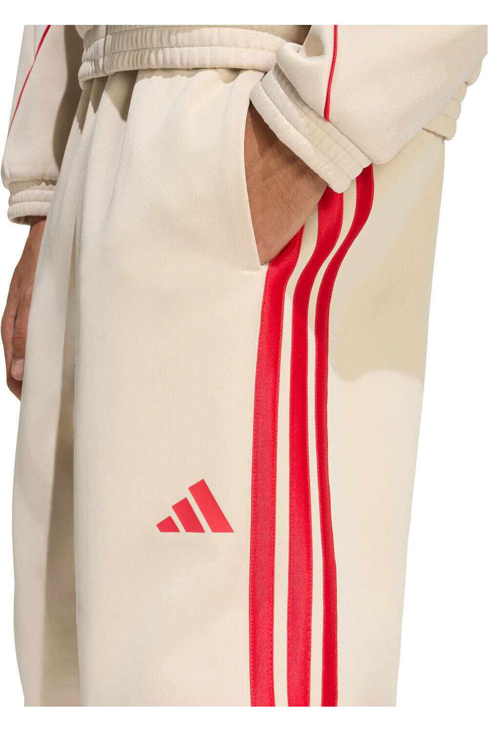 adidas pantalón hombre STADIUM vista detalle