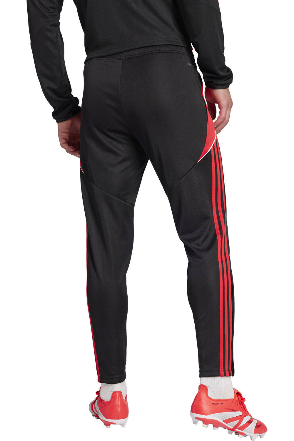 adidas pantalón hombre TIRO24 TRPNT S vista trasera