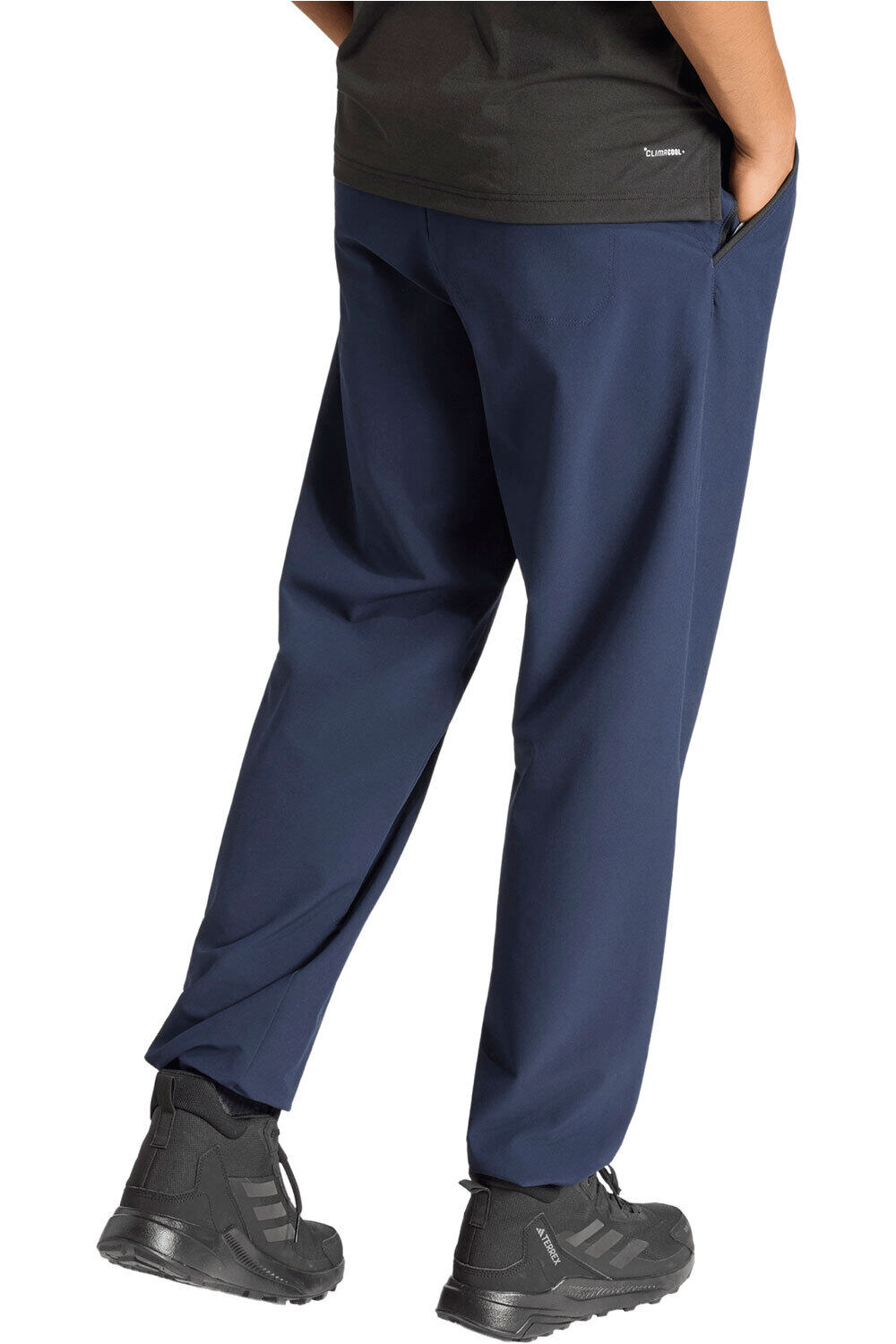 adidas pantalón montaña hombre TERREX MULTI LITEFLEX vista trasera