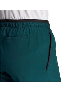 adidas pantalón montaña mujer TERREX MULTI LITEFLEX 04