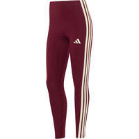 Mallas Essentials Cotton 3 bandas
