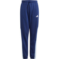 adidas pantalón niño SEASONAL ESSENTIALS COLORBLOCK 05