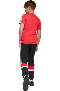 adidas pantalón niño SEASONAL ESSENTIALS TIBERIO vista trasera