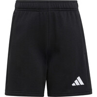 ENTRADA26 SHORT
