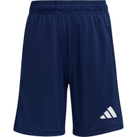 TRAINING ENTRADA26 SHORT