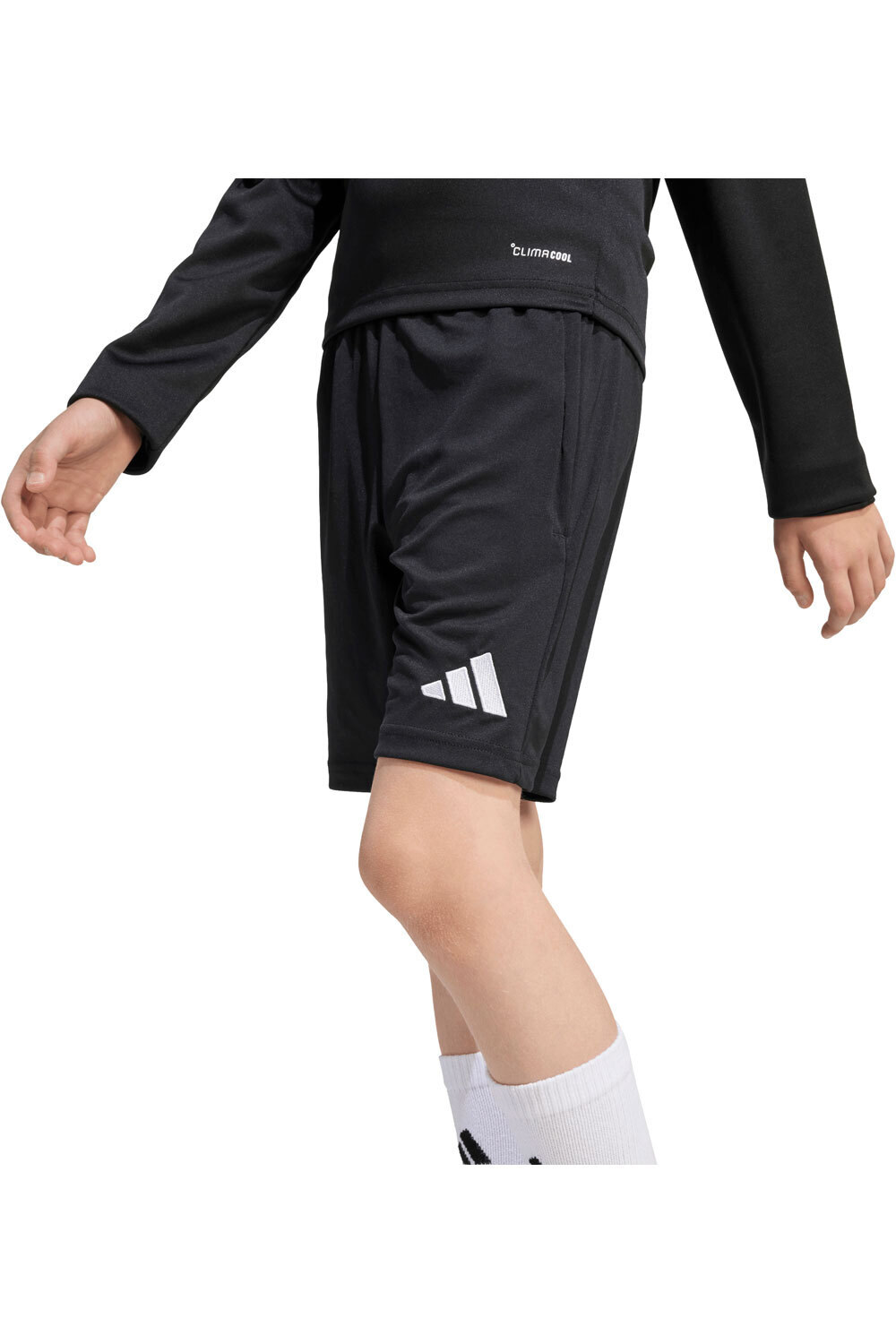 adidas pantalones cortos futbol niño TRAINING ENTRADA26 SHORT vista detalle