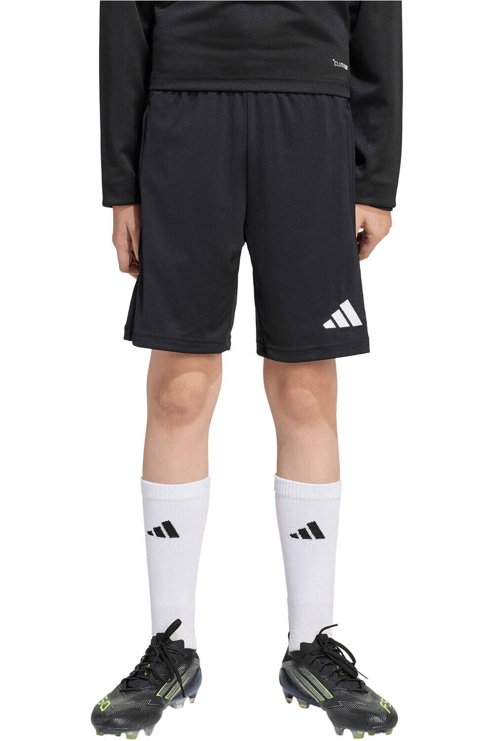 adidas pantalones cortos futbol niño TRAINING ENTRADA26 SHORT vista frontal