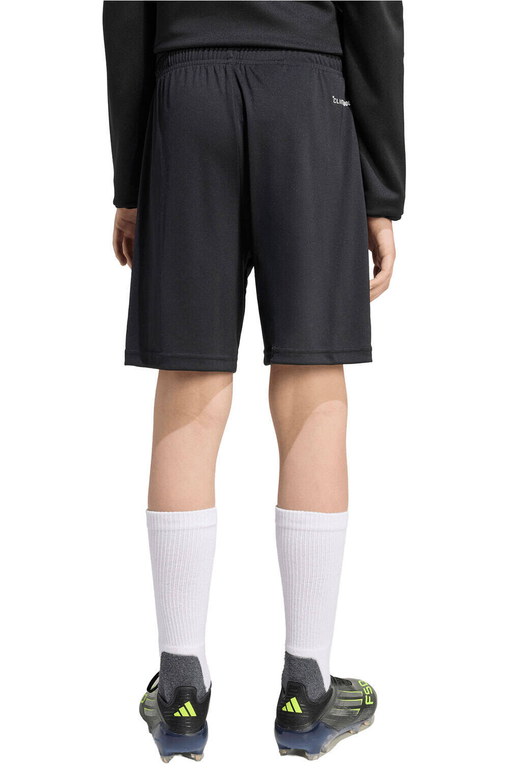 adidas pantalones cortos futbol niño TRAINING ENTRADA26 SHORT vista trasera