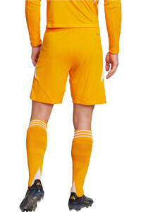 adidas pantalones cortos futbol TIRO24 SHO vista trasera
