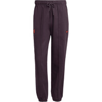 adidas pantalones futbol FC BAYERN TERRACE ICONS DRILL 03