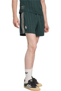 VE