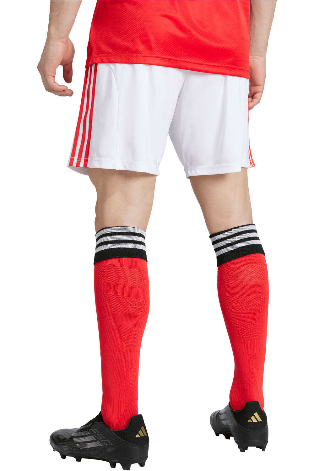 adidas pantalones fútbol oficiales BENFICA 26 H SHO vista trasera
