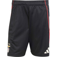 adidas pantalones fútbol oficiales BENFICA 26 TR SHO 05