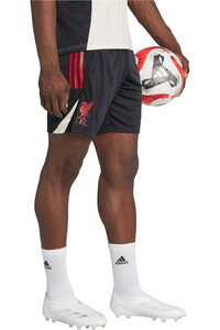 adidas pantalones fútbol oficiales LIVERPOOL 26 TR SHO vista detalle