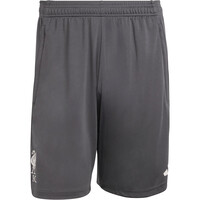 adidas pantalones fútbol oficiales LIVERPOOL FC TIRO 25 COMPET 04