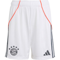 adidas pantalones fútbol oficiales niño B.MUNICH 26 A SHO Y 03