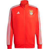 adidas sudadera entrenamiento fútbol BENFICA LISBOA DNA TRACK vista trasera