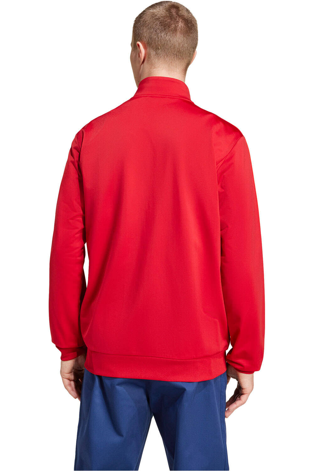 adidas sudadera entrenamiento fútbol FC BAYERN DNA TRACK vista trasera