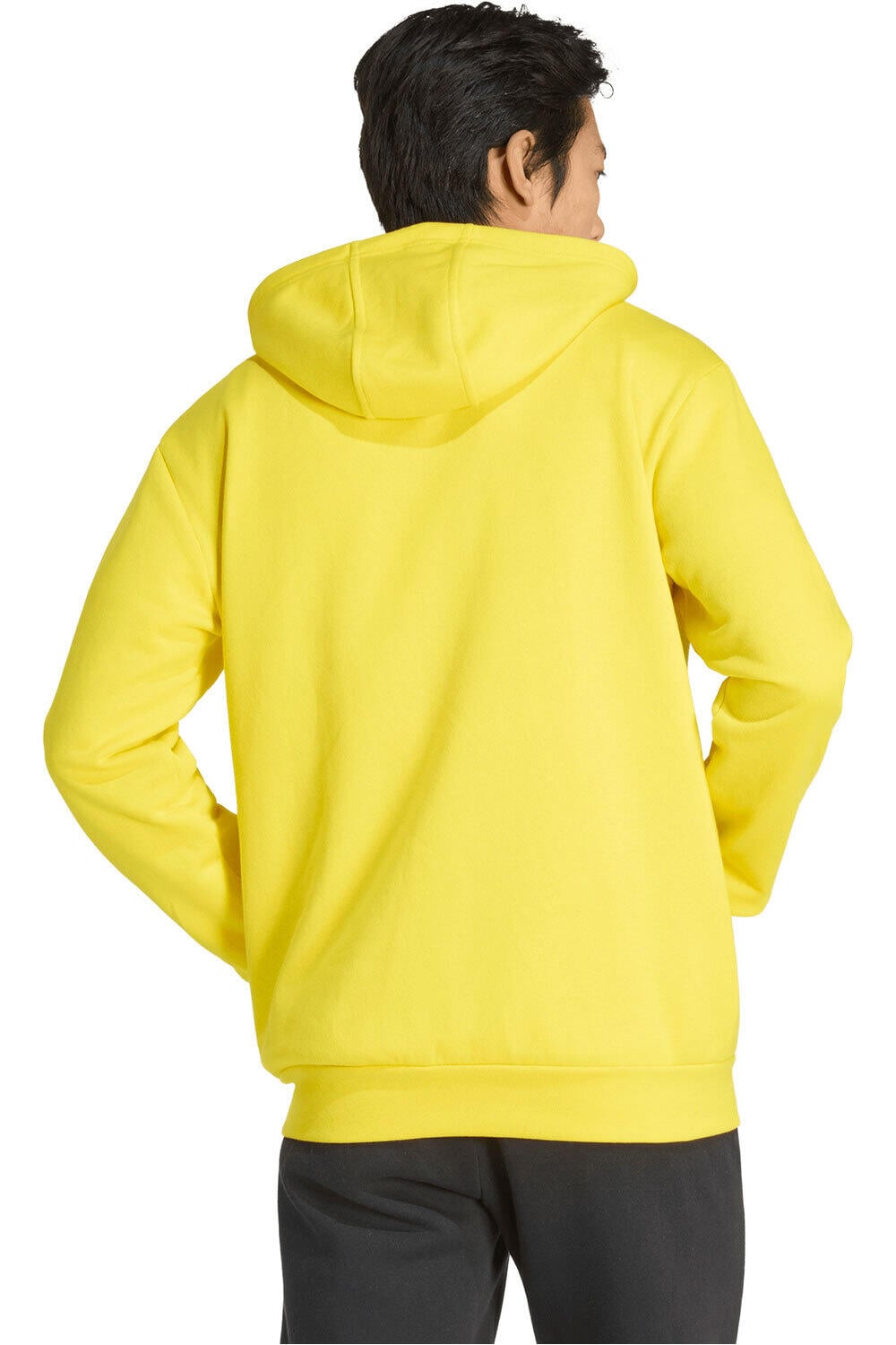 adidas sudadera hombre ENTRADA26 vista trasera