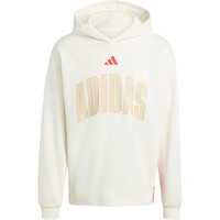 adidas sudadera hombre ESTAMPADA STADIUM 04
