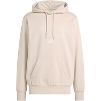 M COLLEGIATE HD
