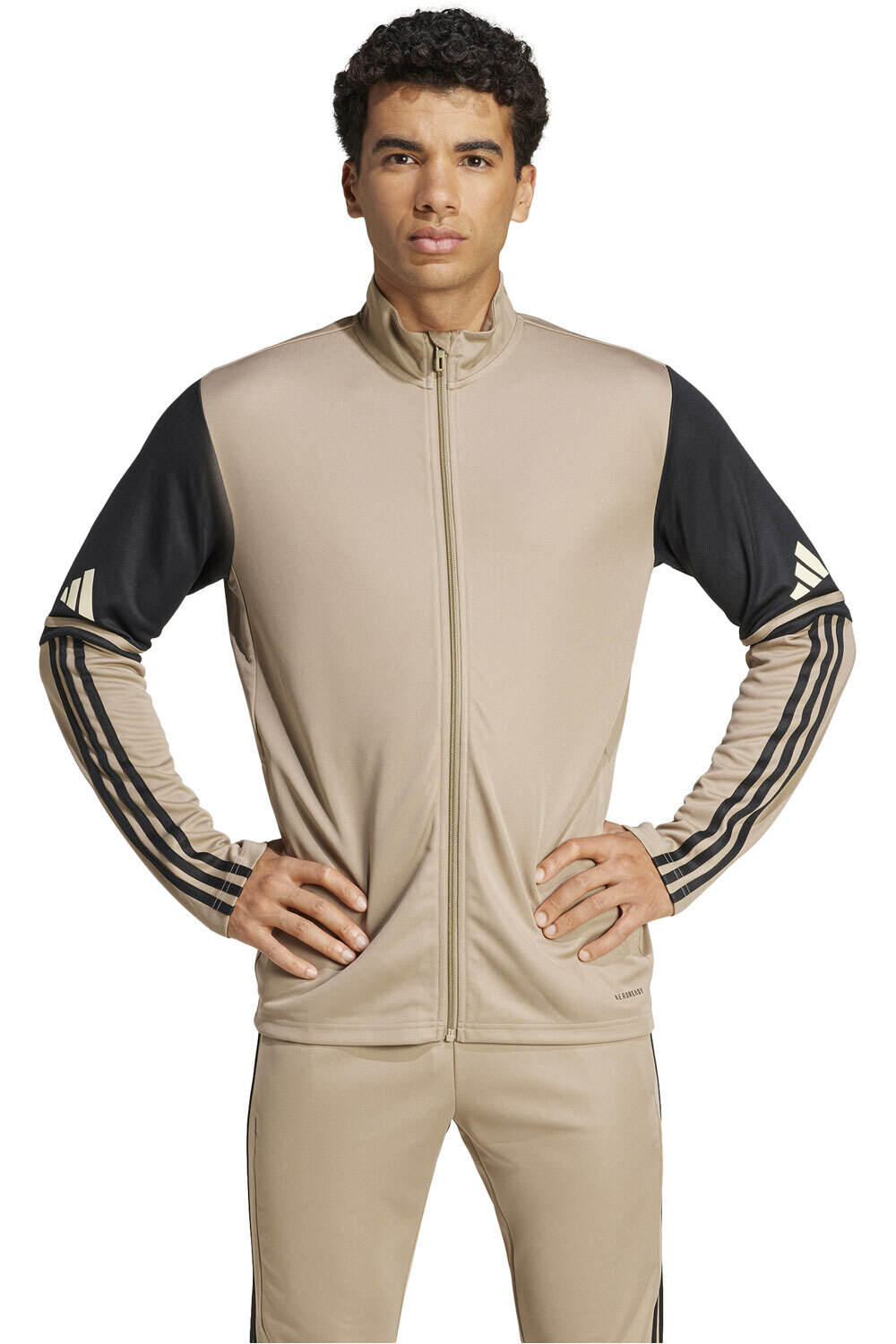 adidas sudadera hombre SQ25 TR JKT vista frontal