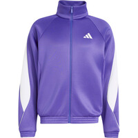 adidas sudadera hombre Sudadera Stadium 04