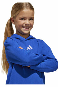 adidas sudadera junior niña LK SL FL HD 03