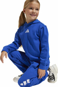 adidas sudadera junior niña LK SL FL HD vista detalle