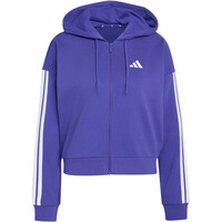 Chaqueta capucha Essentials FT 3S