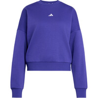 Sudadera Ess Small Logo Feelcozy