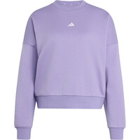 Sudadera Ess Small Logo Feelcozy
