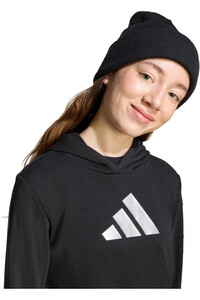 adidas sudadera niña ESTAMPADA GLAM vista detalle