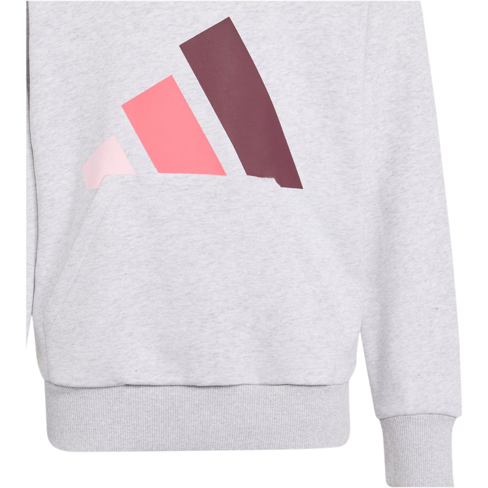 adidas sudadera niña J BL FT HD 280 03