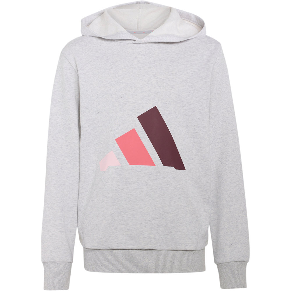 adidas sudadera niña J BL FT HD 280 vista frontal