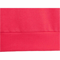 adidas sudadera niña J SL FT HZ 220 03