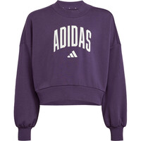 adidas sudadera niña JG CLGT FT SWT 04