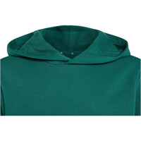 adidas sudadera niña Sudadera con capucha Essentials 03