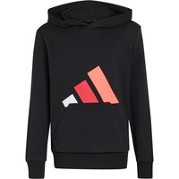 Sudadera con capucha Essentials
