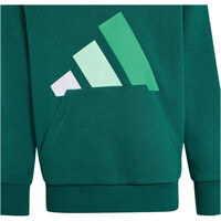 adidas sudadera niña Sudadera con capucha Essentials vista detalle